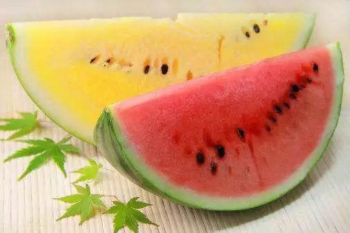 娱乐吃瓜酱属于什么领域